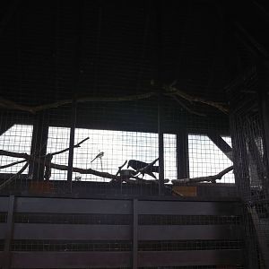 Raven enclosure-06/07/2014