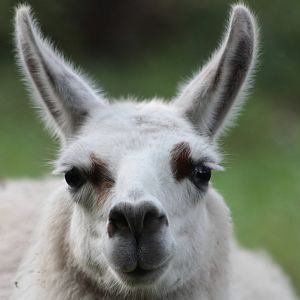 Alana, 28th September 2014