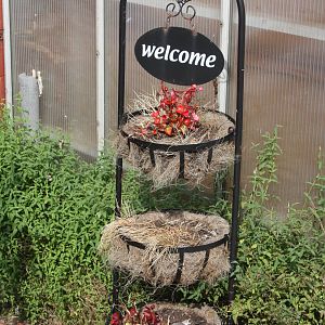 At the entrance, 23rd September 2014