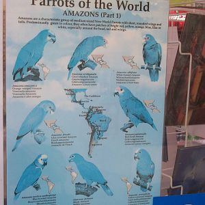 A good start - poster at the entrance, 23rd September 2014