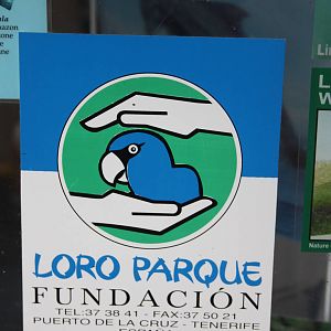 A good start - sticker at the entrance, 23rd September 2014