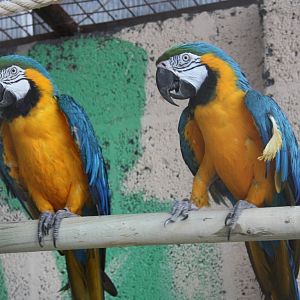 A good start - the first exhibit, 23rd September 2014