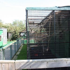 Looking back at the Capuchin exhibit, 23rd September 2014
