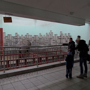 Elephant house viewing area