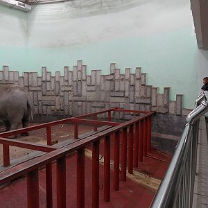 Elephant house - fences