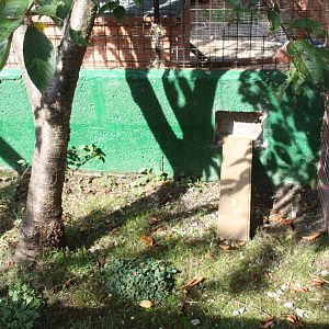 Access to additional Guinea Pig area, 23rd September 2014