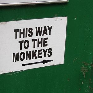 Signage, 23rd September 2014