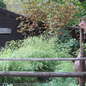 Giraffe paddock and house ;)