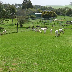 general view from the entrance