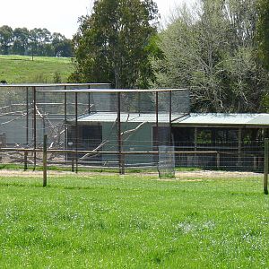 the new extension to the monkey enclosure