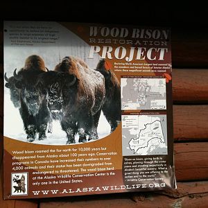Sign detailing AWCCs role in reintroducing Canadian Wood Bison to Alaska