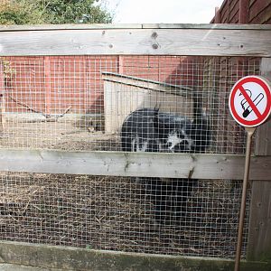 Company for my picnic, 23rd September 2014