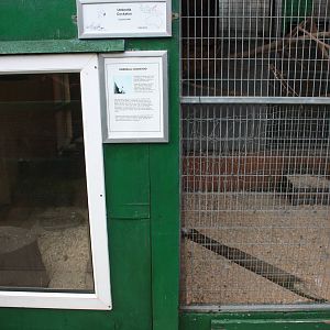 Indoor area for Meerkats (left), Umbrella Cockatoo aviary (right), 23rd Sep