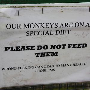 Signage, 23rd September 2014