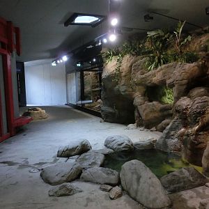 chinese giant salamander house - Zoo Praha