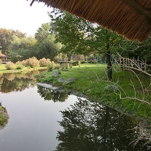 sitatunga exhibit - Zoo Praha