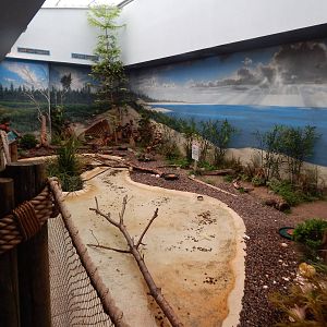 Oct. 2014 - Mahler Family Aviary - Shorebirds Exhibit (5 Species)