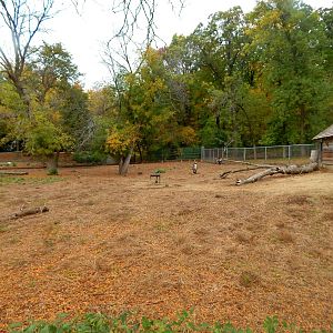 Oct. 2014 - North America - Caribou Exhibit