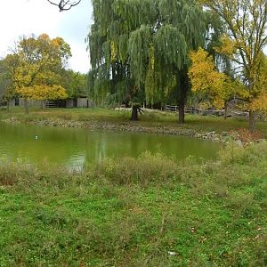 Oct. 2014 - North America - 4 Species (Click on the Photo)