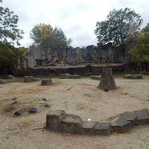 Oct. 2014 - Africa-Asia-South American - African Waterhole + Lion Exhibit (