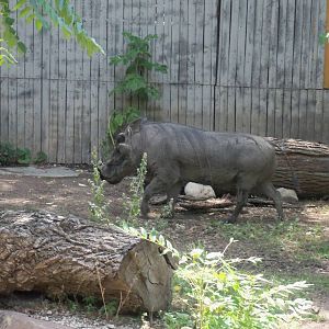 Former Warthog Exhibit