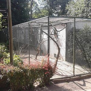Parrot aviaries