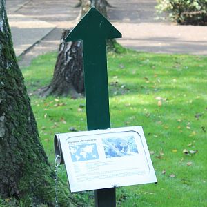 Sign where to find Palawan binturong !