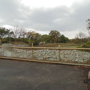 Giraffe and zebra paddock