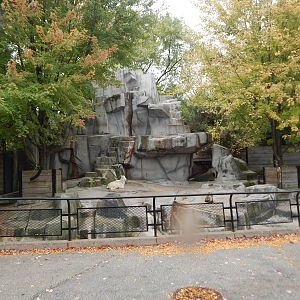 Oct. 2014 - North America - Dall Sheep Exhibit