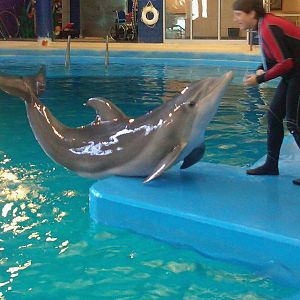 Oct. 2010 - Dolphin In-Water Adventure