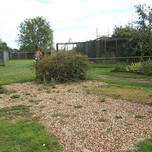 Where the Mountain Viscacha enclosure was