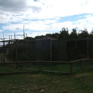 Empty Siberian Weasel enclosures