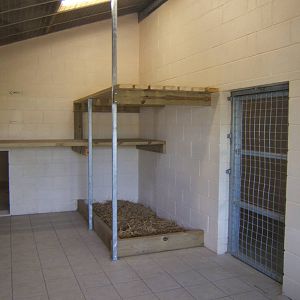 View inside the new Tiger House