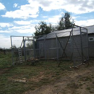 View of the start of the Malayan Tiger complex