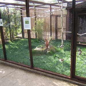 Lapwing Aviary