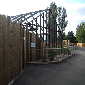 Tayra enclosure