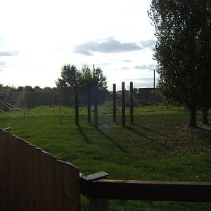 View of work on the new Raccon,Coati and Canadian lynx enclosures