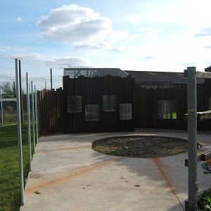 View of the Oncilla and Rusty-spotted Cat enclosures
