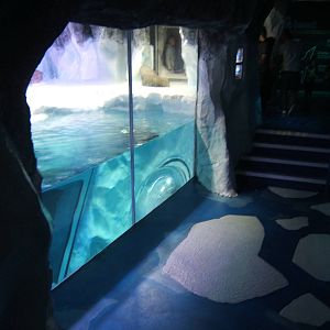 View of Penguin enclosure