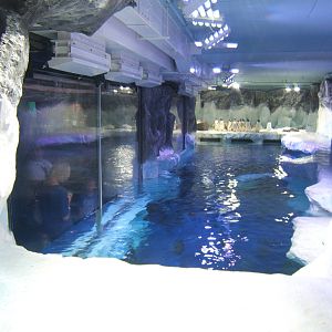 View of Penguin enclosure