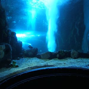 View of main tank