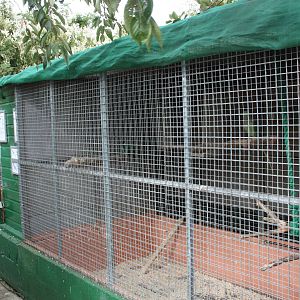 Outdoor aviaries due for replacement, 23rd September 2014