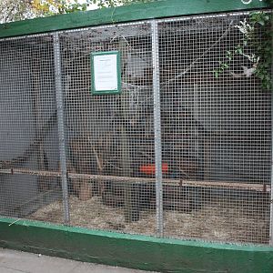 Chipmunk exhibit soon to be replaced, 23rd September 2014