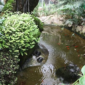 Pool in indoor area, 23rd September 2014