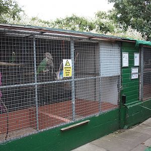 Another view of outdoor aviaries due for replacement, 23rd September 2014