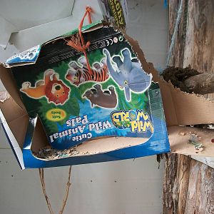 Parrot enrichment, 23rd September 2014