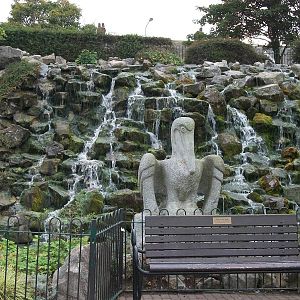 A Pelican not in the zoo, 23rd September 2014