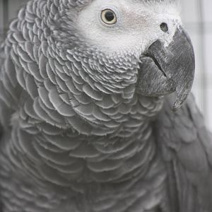 Charlie 2, 25th September 2014