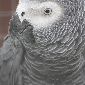 Charlie 2, 25th September 2014