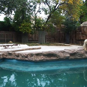 Polar Bear exhibit